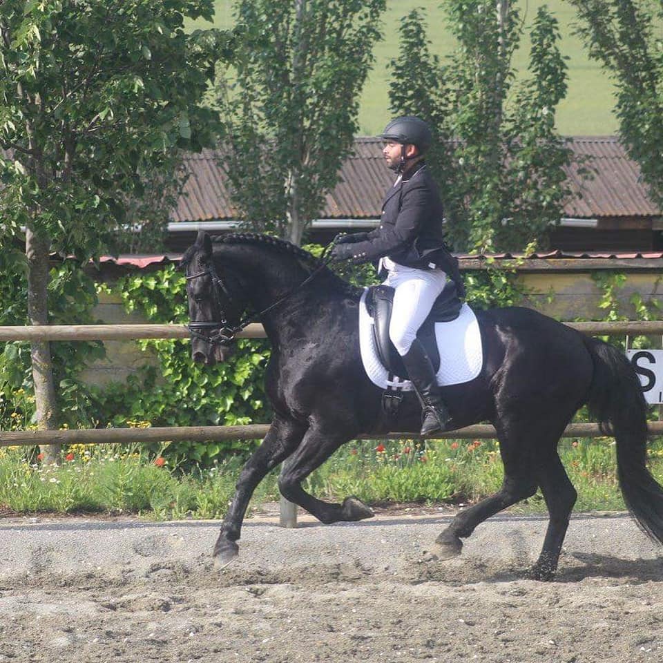 Resultados de la sexta fase del Campeonato Navarro de Doma Clásica, Doma Adaptada y JJDD 2018